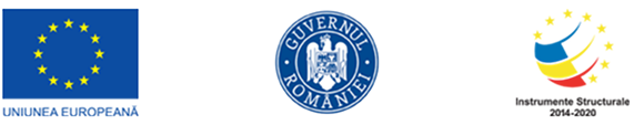 Sigle oficiale proiect